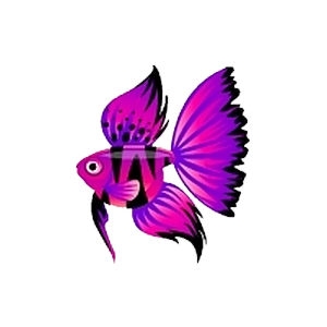 Pink Tiger Dreamfish